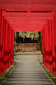 粟津稲生神社(2)