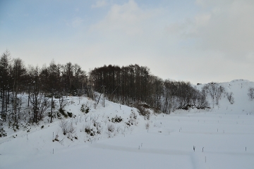 北海道旅行201401(9)