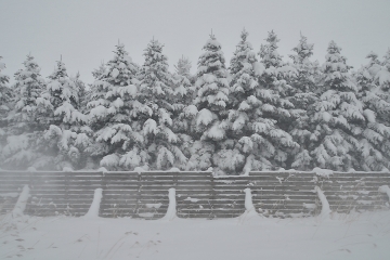 北海道旅行201401(12)