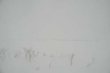 北海道旅行201401(13)