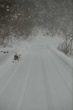 北海道旅行201401（4)