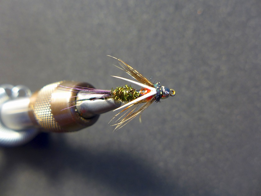 s-P1060728.jpg