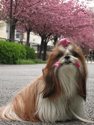 20120427011.jpg