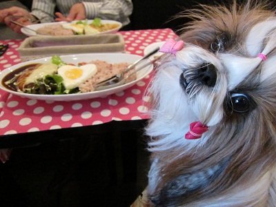 20120428005.jpg