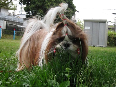 20120502002.jpg