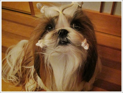 20120503001.jpg