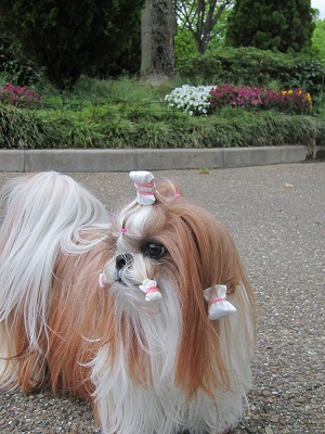 20120505002.jpg