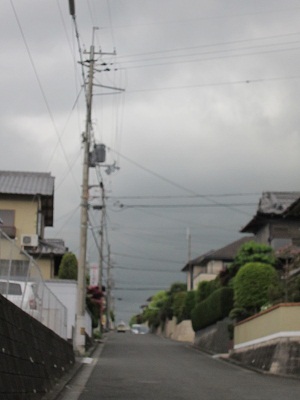 20120505005.jpg