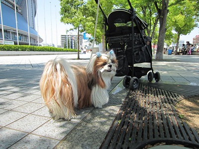 20120513002.jpg