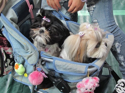 20120513010.jpg