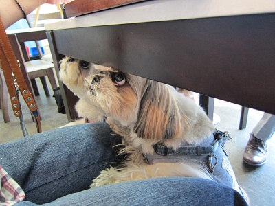 20120515010.jpg
