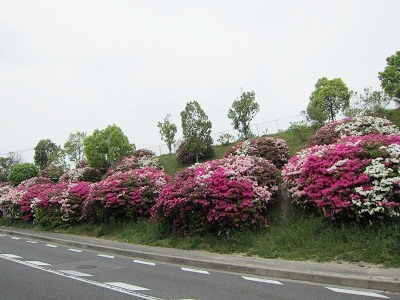 20120518003.jpg