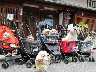 20120615003.jpg