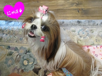 20120616013.jpg