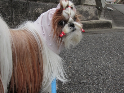 20120624002.jpg