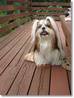20120702004.jpg