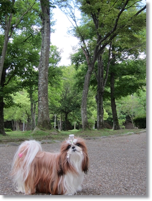 20120707002.jpg