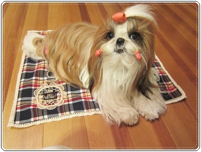 20120722010.jpg