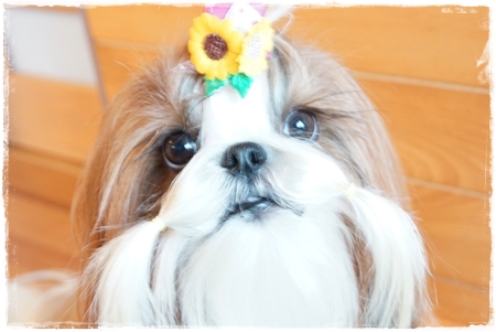20120817004.jpg