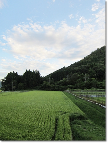 20120825007.jpg