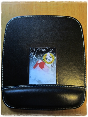 20120826006.jpg