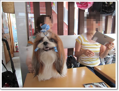20120908006.jpg