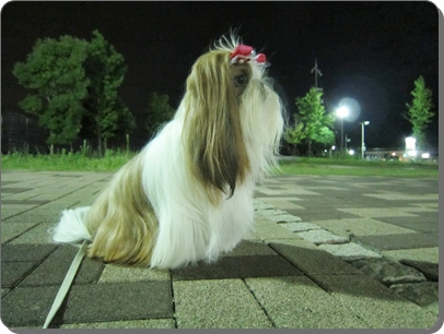 20120916005.jpg