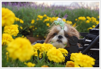 20121021026.jpg