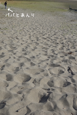 20121023007.jpg