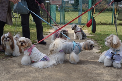 20121024013.jpg