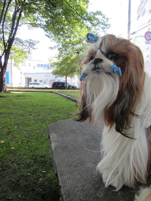 20121127003.jpg