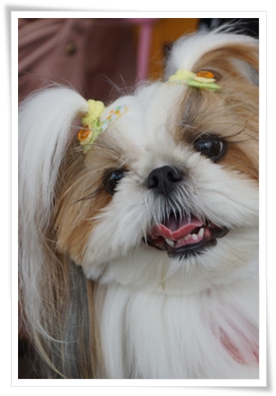 20121204004.jpg