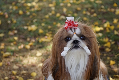 20121209004.jpg