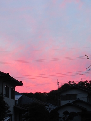 20121212005.jpg