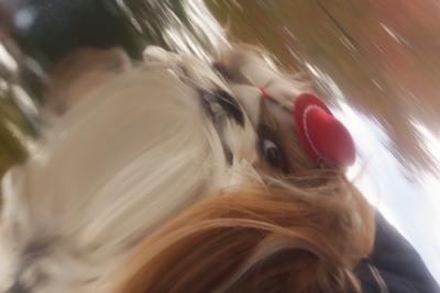 20121213005.jpg