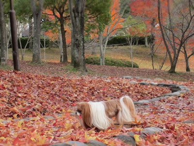 20121218005.jpg