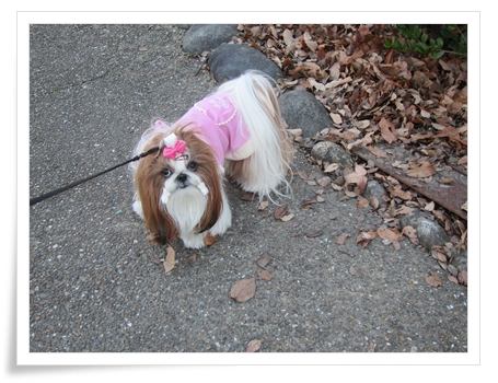 20130105006.jpg