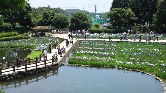 沢山の人