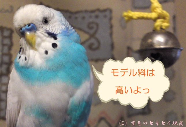 またモデルになるですか僕は。