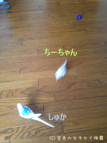 ちーちゃんブレてる