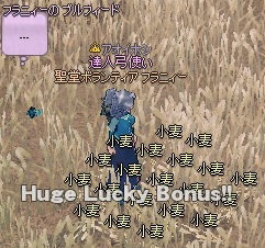 mabinogi_2013_02_10_005.jpg