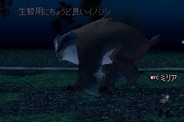 mabinogi_2013_03_24_004.jpg