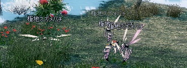 mabinogi_2013_04_24_033.jpg