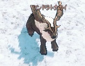 mabinogi_2013_04_24_034.jpg