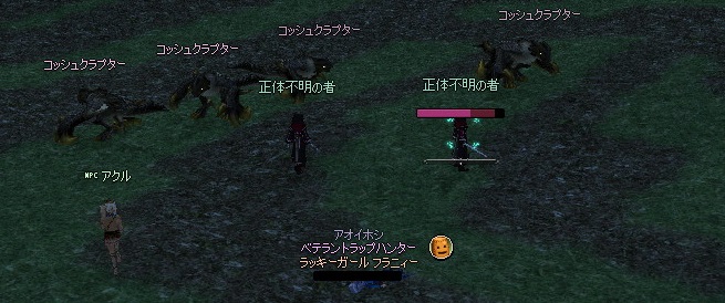 mabinogi_2013_04_30_001.jpg