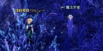 mabinogi_2013_05_28_003.jpg
