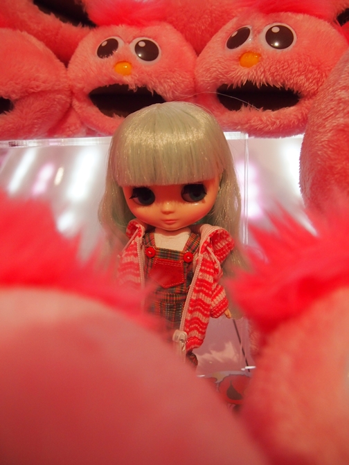 13010571.jpg