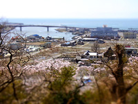 R0024523.jpg