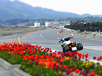 R0024691.jpg
