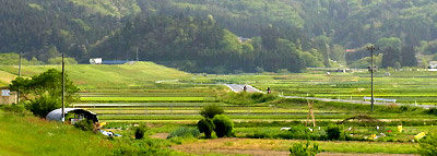 R0025130cc.jpg